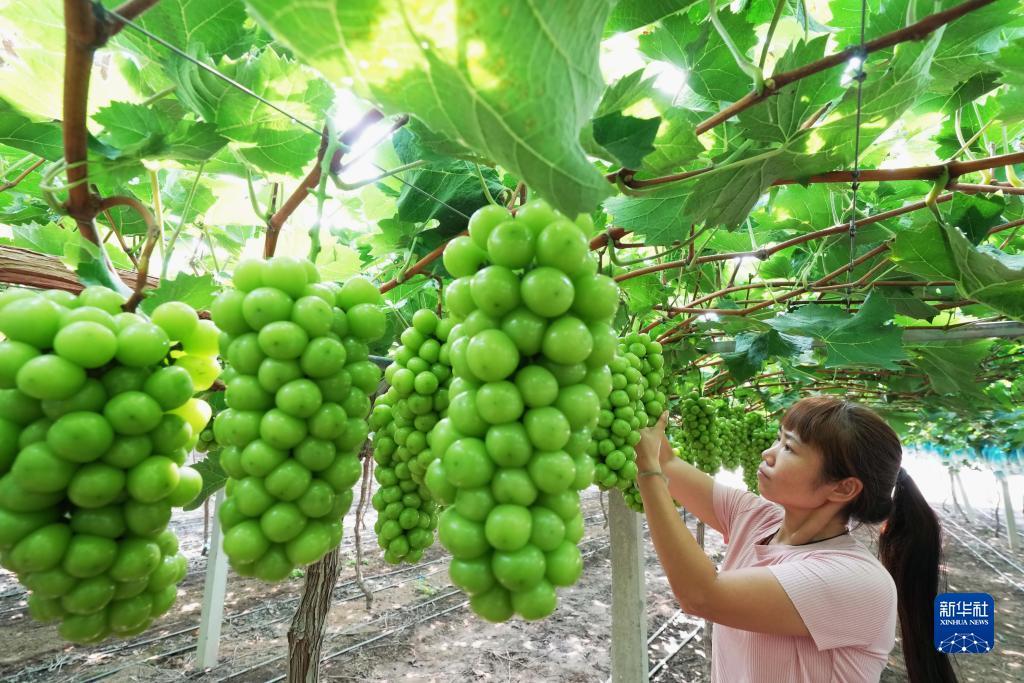 2018免费彩金网站